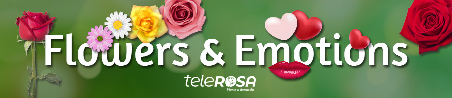 Catalog of flowers and roses in Spain