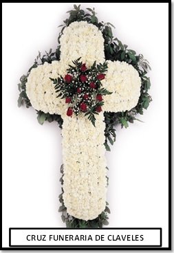 Cádiz cruz funeraria de claveles